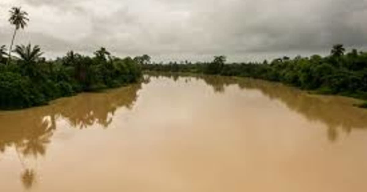Abuakwa South MP Cries Over Birim River Pollution, Calls for Tougher Action Against Galamsey