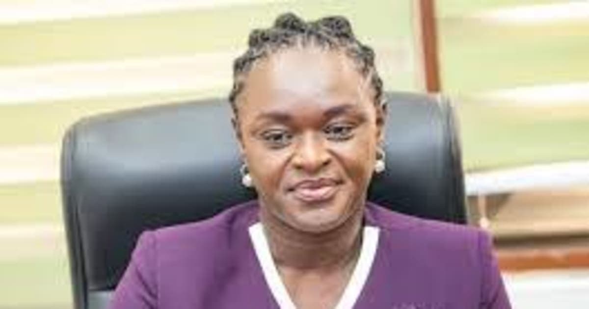 We had Military and National Security with us, but we were chased by ‘Macho Men’ Galamseyers - EPA Boss