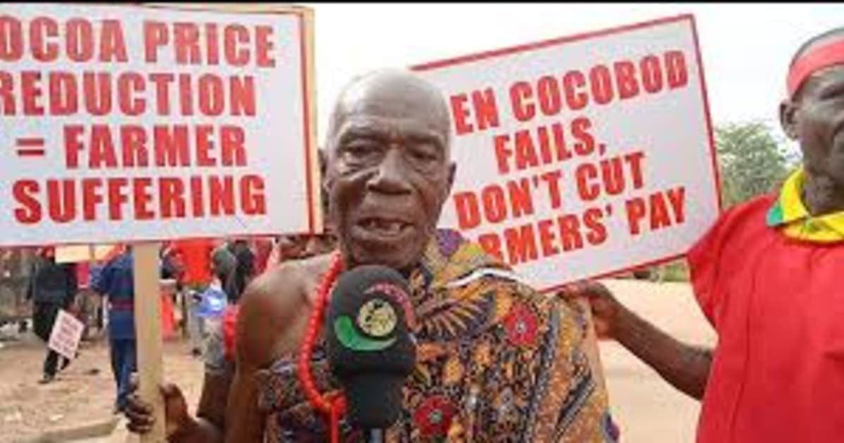 So where is the Cocobod CEO? — Cocoa farmers continue to protest against the haircut