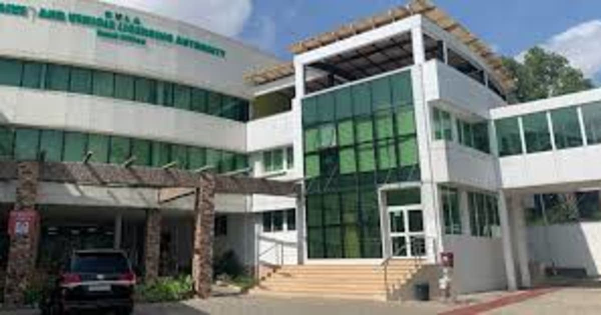 DVLA Warns Public Against Fake DV Plates