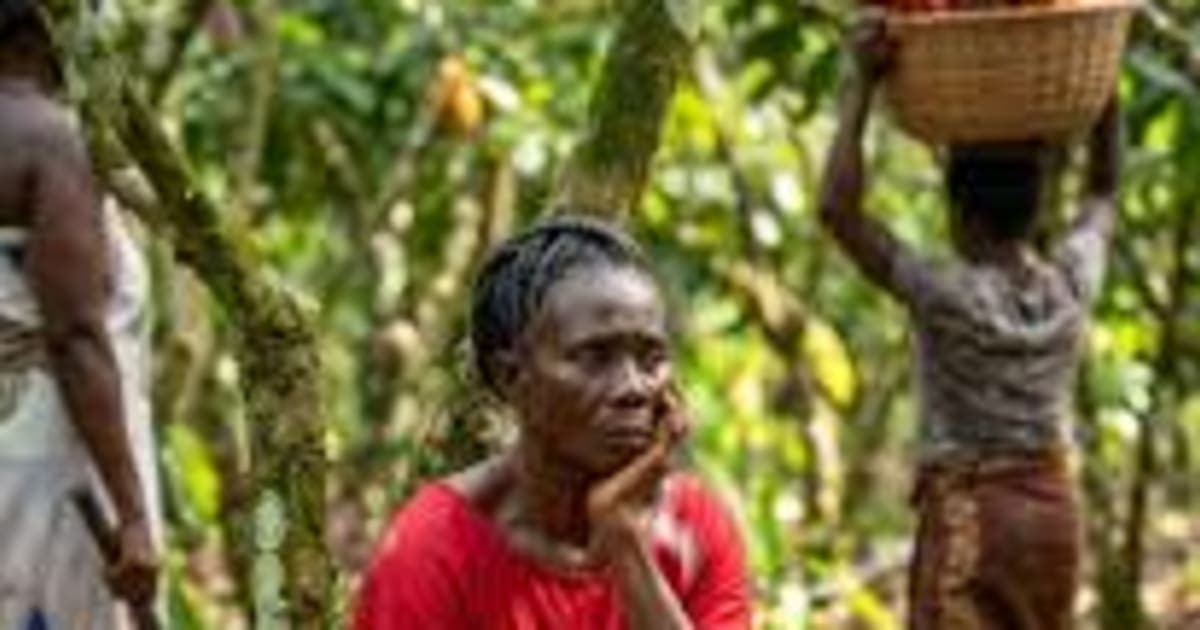 Cocoa Farmers not paid Since January