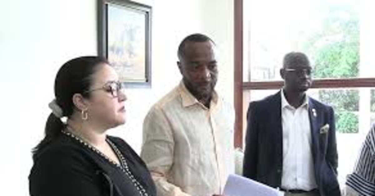 NPP Petitions Diplomatic Corps To Monitor Ghana’s Human Rights Situation