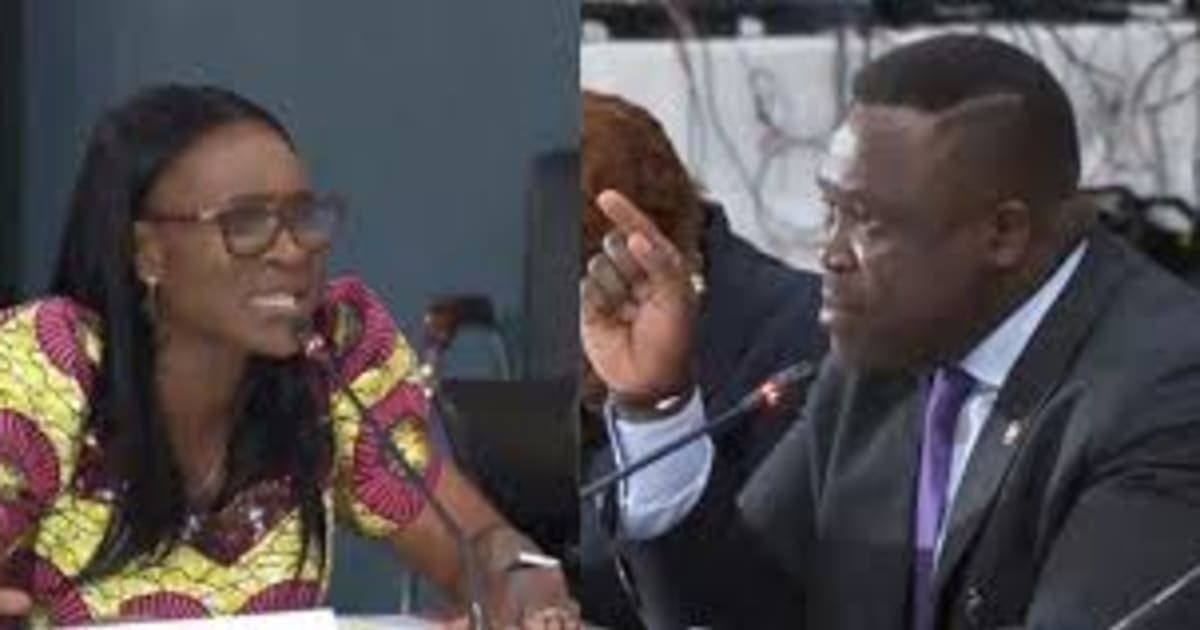 Netizens Blast Sam George Over Misbehavior At PAC Hearing